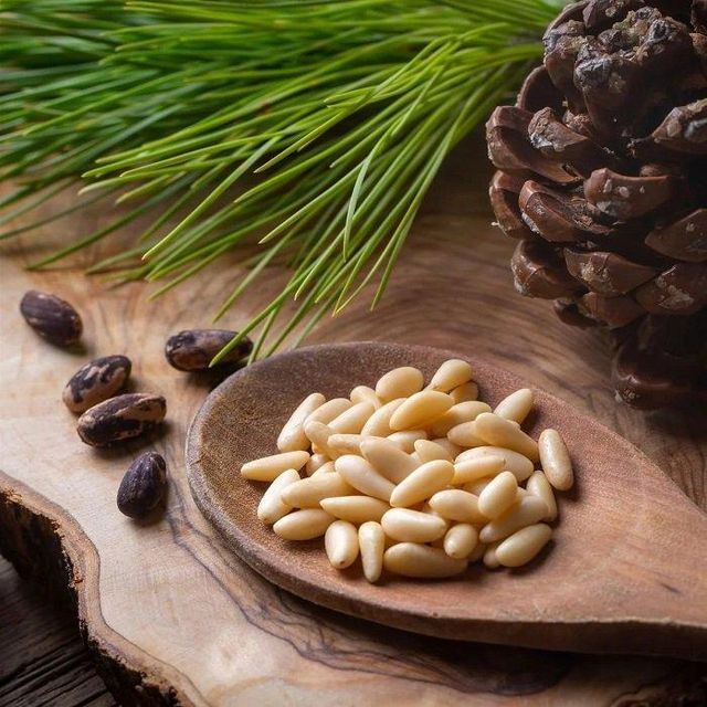 High quality Organic Pine Nuts offered with fast dispatch for volume purchase and resale - Image 4