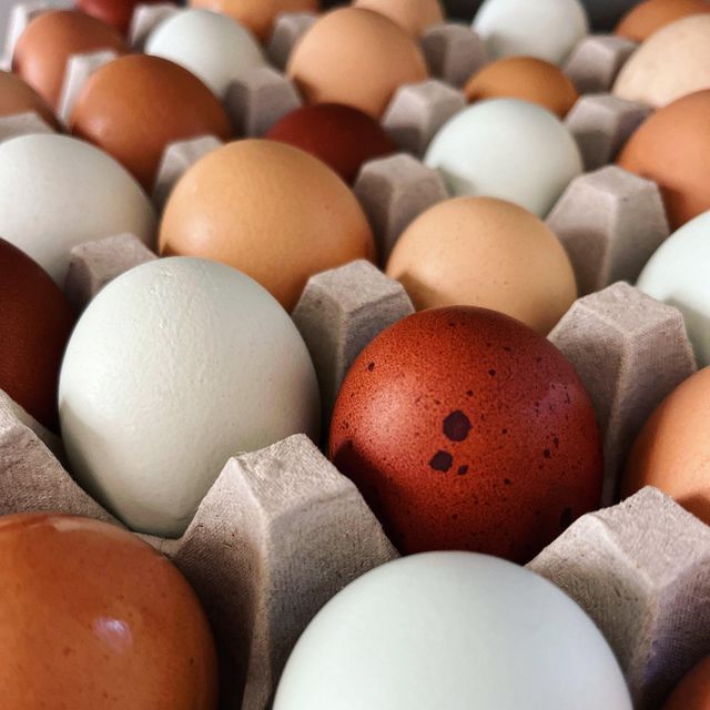 High Freshness Fresh Table Chicken Eggs With Natural Taste Chicken Eggs Delivered For Global Wholesale Buyers - Image 4