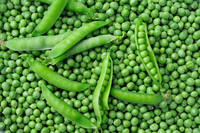Whole Pigeon Peas & Wholesale Split Peas-Fresh 100% Natural Brazil Origin - Image 4