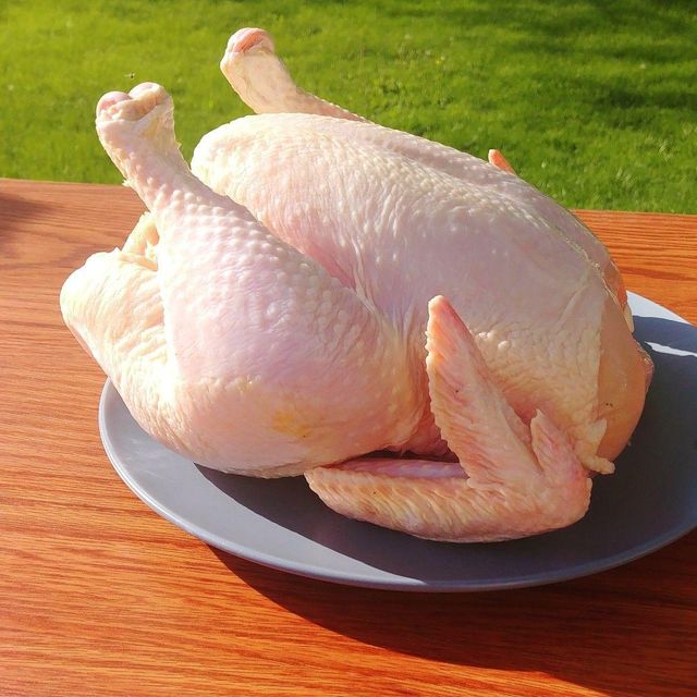 High Quality Halal Frozen Whole Chicken | Wholesale Halal Frozen Whole Chicken for Sale | Halal Frozen Whole Chicken - Image 3