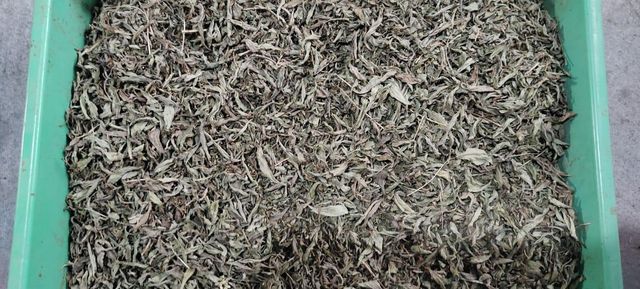 Dried Stevia Leaf TBC Grade FOOD Color GREEN Packaging HDPE BAGS Max. Moisture (%) 8% Shelf Life 24 MONTHS Storage Type COLD STORAGE - Image 4