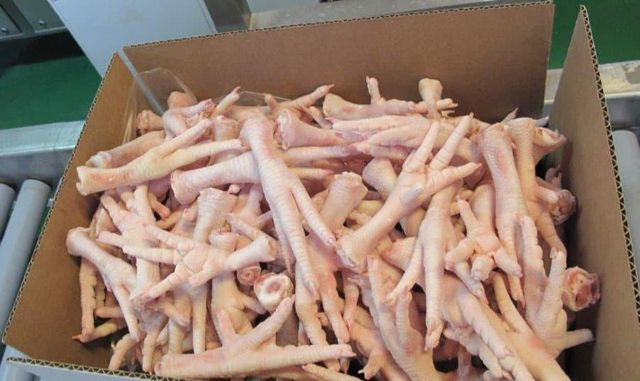 Fresh Frozen Chicken Feet - Image 4