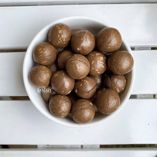 Macadamia Nut Cracker - Image 2