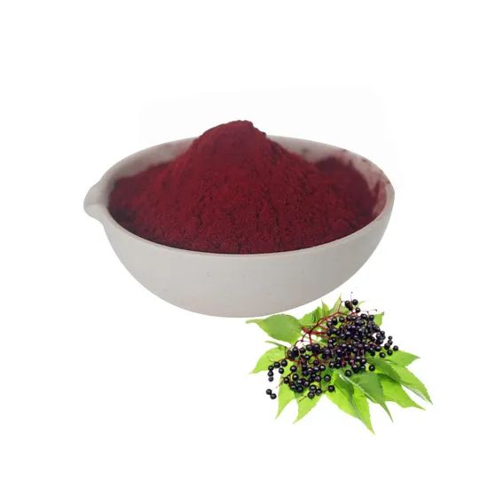 Hot Sale Water Soluble Instant Elderberry Juice Powder Fruit Powder - Image 1