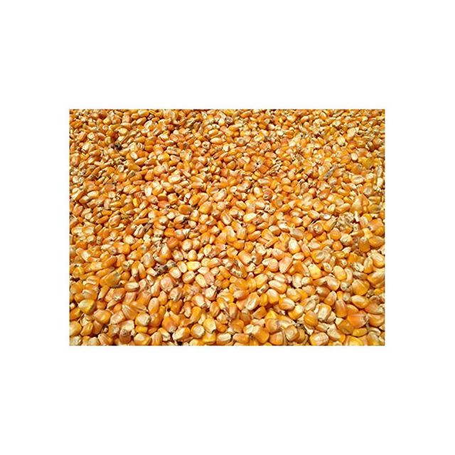 Brazil Commodities frozenchickenexports.com - Image 4