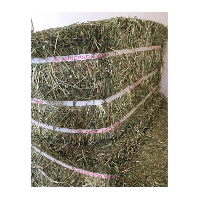 Timothy hay wholesale bulk stock discount price fast delivery export supplier - Image 4