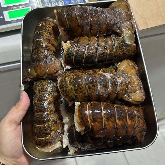 Frozen Fresh Lobsters Wild Caught Selection Featuring High Protein Content And Reliable Cold Chain Export Supply - Image 3