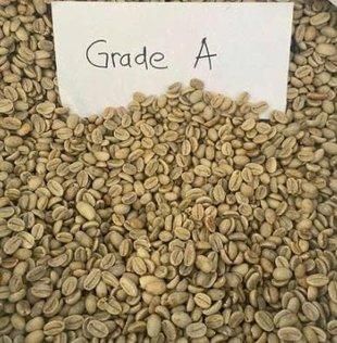 Premium Green Coffee Beans from Kenya – Arabica & Robusta Minimum Order Quantity (MOQ) 19.2 MT (1 × 20FT Container) - Image 3