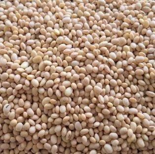 Premium Soybeans for Export - Image 3