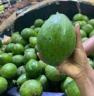 Premium Fresh Avocados from Kenya – Export Quality - Image 4