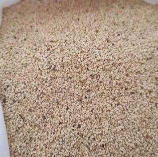 Sesame Seeds Quality Export Standard Loading Port Mombasa Port, Kenya - Image 3