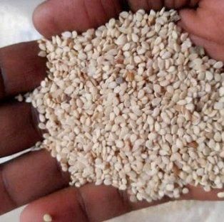 Sesame Seeds Quality Export Standard Loading Port Mombasa Port, Kenya - Image 4
