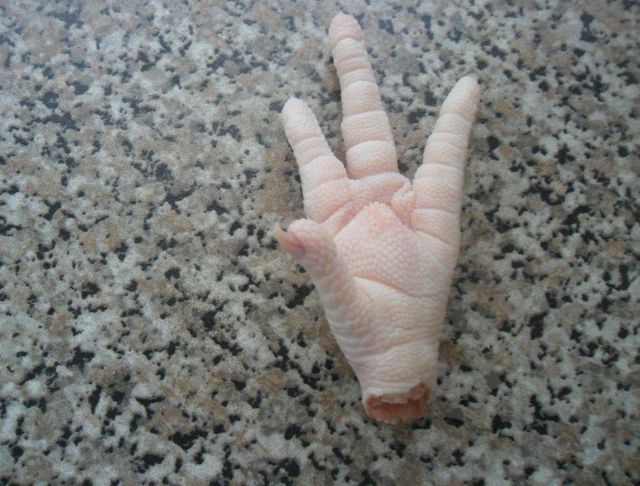 Frozen Chicken Paws - Image 3
