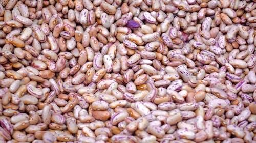 SPECKLED RED BROWN SUGAR BEANS - BULK PREMIUM GRADE - Image 3