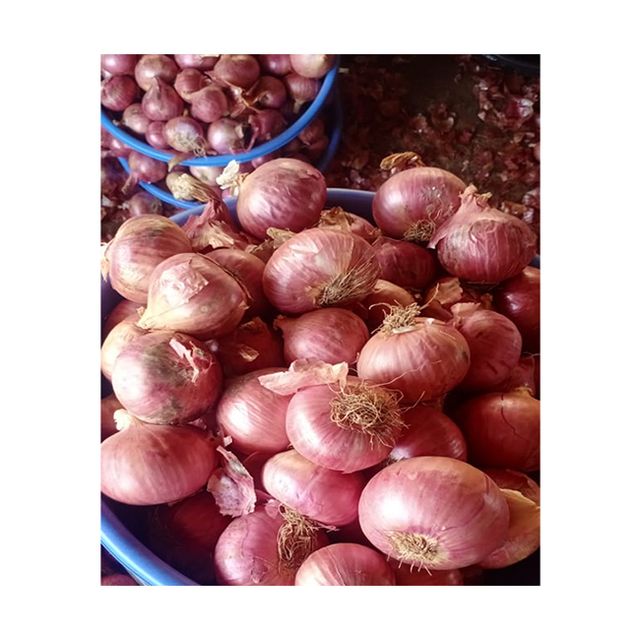 Best Quality Fresh Organic Nutritional And Natural Fresh Red Onion At Wholesale Buy Now at Low Price - Image 4