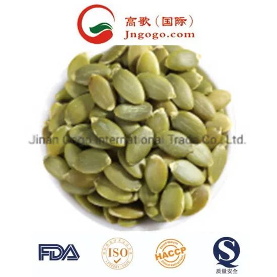 White Pumpkin Seed Kernels - Superior Quality and Packing Options - Image 6