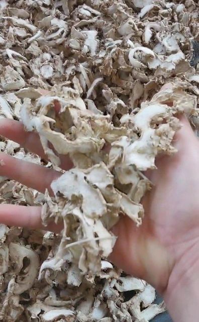 Dried ginger - Image 1