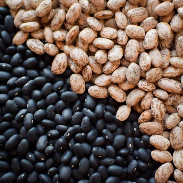 Organic Farm Harvest Pinto Beans Supplied As Dried Legume Product With Secure Packaging - Image 3