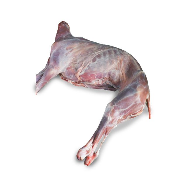 Special Offer High Quality Fresh and Frozen Goat Meat Whole Goat Leg Shoulder Cuts Bulk Supply for Buyers - Image 4