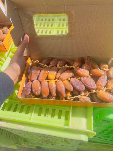 Premium Tunisian dates deglet noor - Image 3
