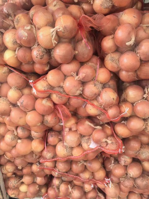 Fresh Yellow Onion 5‑7cm China Origin, Mesh Bag & Carton Packing, For Africa Middle East Market, Reefer Shipment - Image 3
