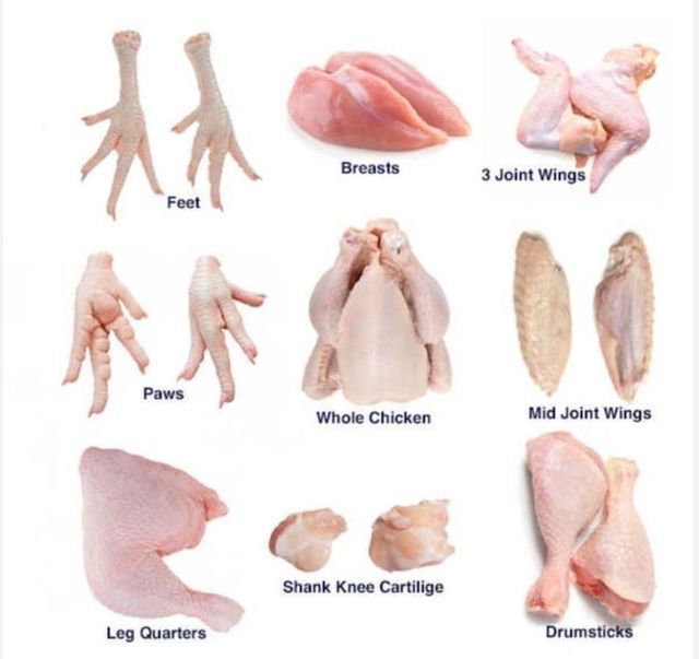 Frozen Chicken Paws – Grade A - Image 2