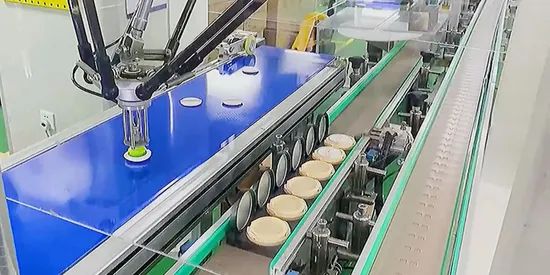 Smart Agv-Integrated Large-Scale Industrial Automated Delta Robot Packing Line - Image 4