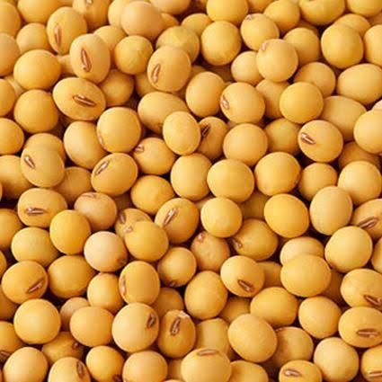 Premium Grade Non-GMO Soybeans Great for Soy Milk and  Organic Non-Certified 2016 - Image 5