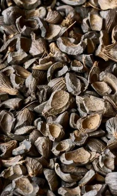 Palm Kernel Shell Packaging Bag Ash Content Low Form Fibrous Shell Calorific Value High Place of Origin Nigeria Primary Use Biomass Fuel - Image 1