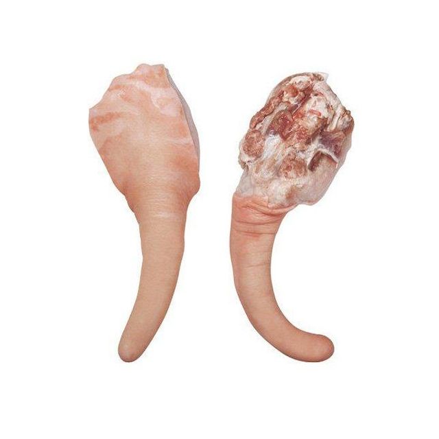 Frozen pork tail bulk wholesale supply high quality frozen and fresh for export - Image 3