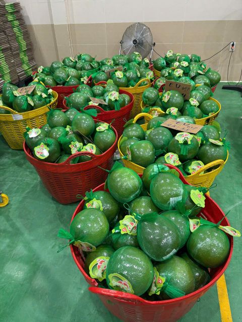 Fresh Mango, passion fruits, red chilli, longan, dragon, wax apple, jackfruit meat, coconut, pomelo,... - Image 9