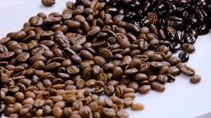 Premium Roasted Arabica & Robusta Coffee Beans Export Quality Whole Bean Coffee Bulk Supply - Image 5