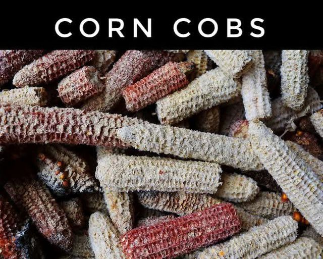 Corn Cob - Image 3