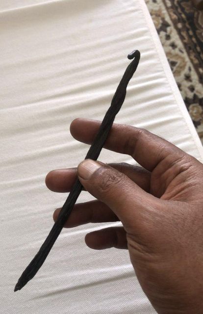 Grade A Vanilla Beans 16-20cm, Sun Cured, High Vanillin Origin Indonesia - Image 2