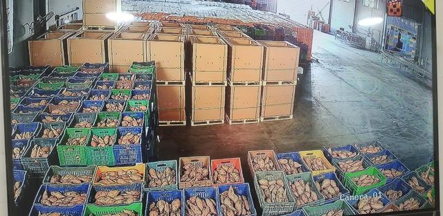 Sweet Potatoes Origin Egypt Shape Uniform Size 200–300 G Texture Smooth Features Organic Grade Export Grade Cooking Quality Excellent - Image 3
