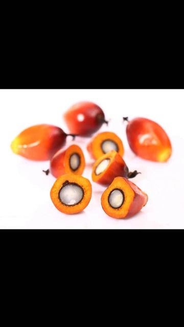 Palm kernel shells,Palm kernel nuts,Palm kernel fruit Ash Content Low Oil Content High Calorific Value High Oil Extraction Rate High - Image 4