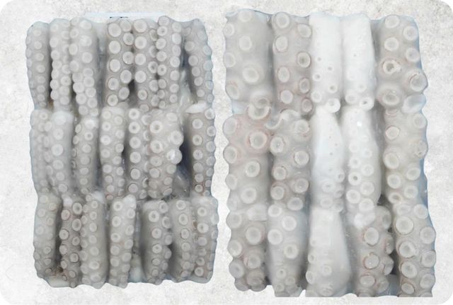 Frozen Squid Supplier From Vietnam - Image 4