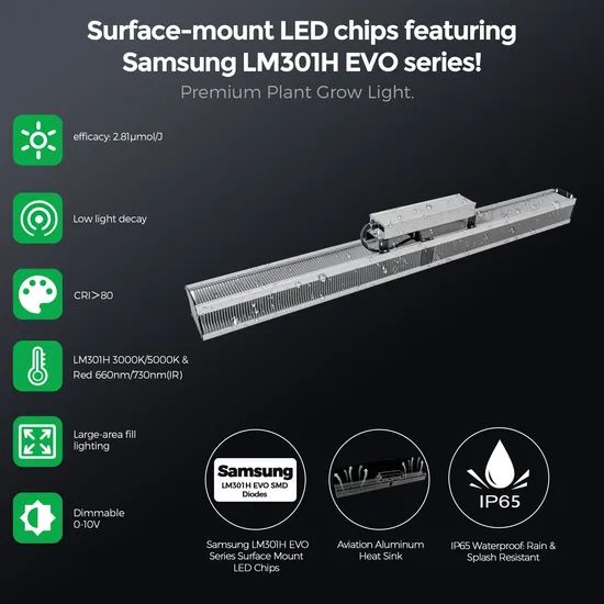 High Efficiency 600W 301b LED Plant Grow Light, Linear Design, 2.8 μMol/J, Rj14 Control, IP65 for Commercial Horticulture - Image 4