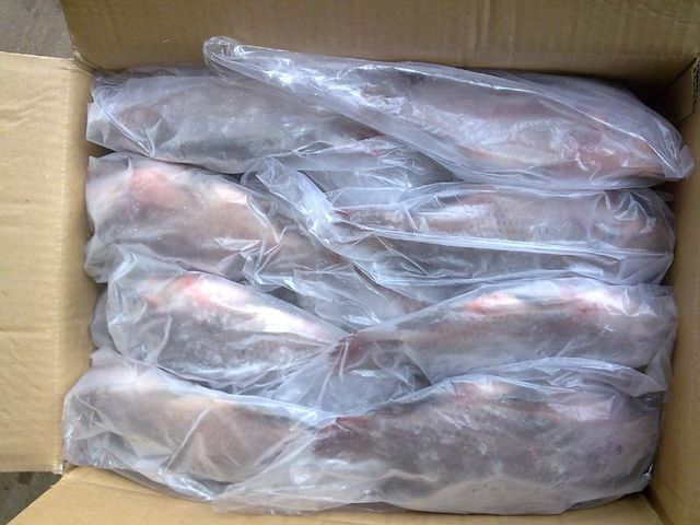 Bulk frozen whole black tilapia for export standard - Image 3