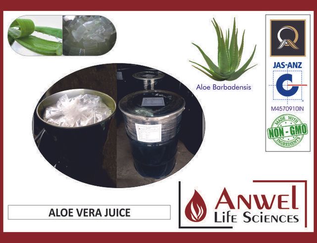 Aloe Vera Juice With Pulp Purity 100% Fiber Size 2 Mm To 5 Mm Certification Iso 9001:2008 Plant Part Used Inner Gel Of - Image 1