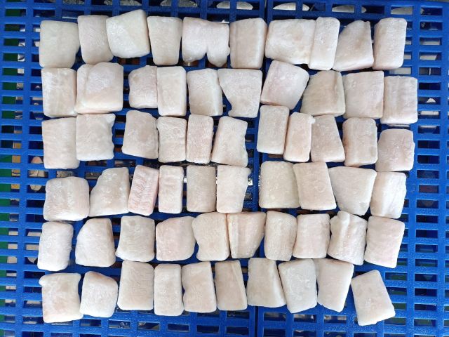 Frozen Pangasius Fillet - Image 7