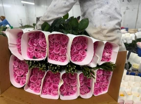 Roses Delivery Focus Timely Delivery Supply Consistency Consistent Supply Market Reach Wholesale And International - Image 4