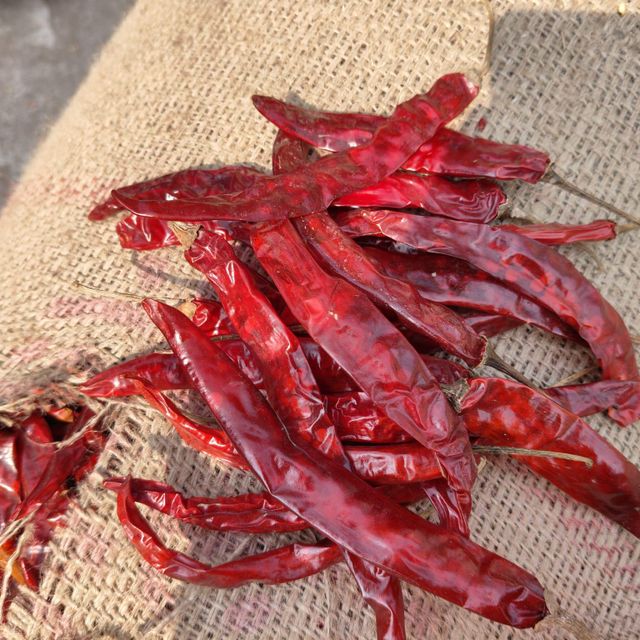 Dry Red Chilli - Image 2