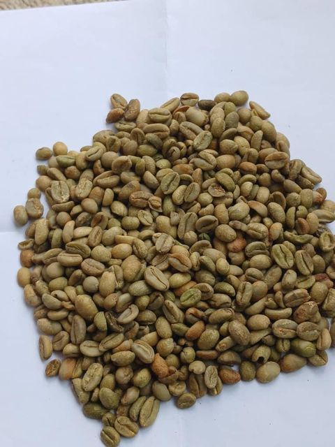 Premium Ethiopian Green Coffee Beans Decaffeinated No Bean Type Arabica Degree of Processing Raw - Image 1