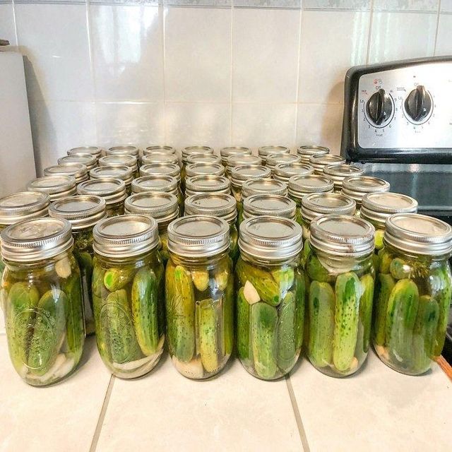Crunchy Cucumber Pickles Tangy Spicy Homemade Style Pickled Cucumbers Fresh Flavor Healthy Snack - Image 1