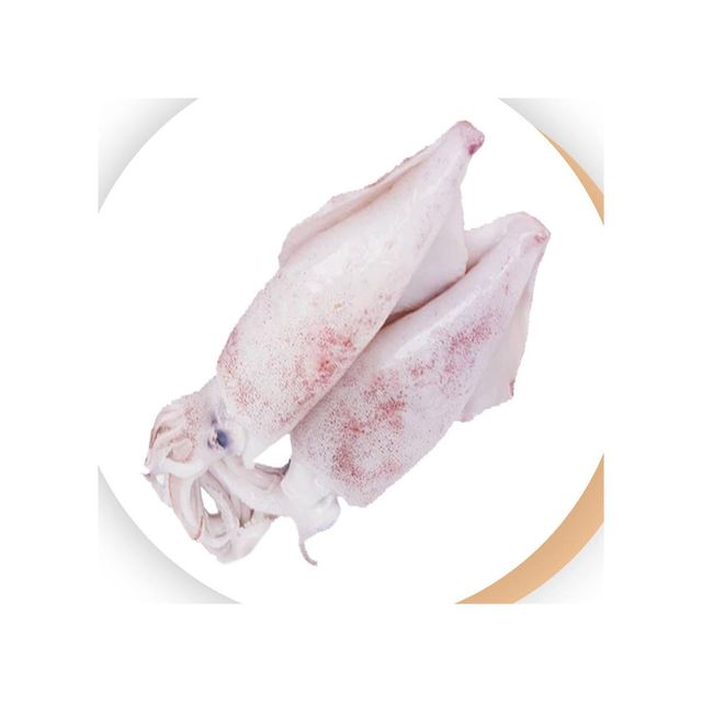 Frozen Squid Whole Round Processed For Marine Food Importers Restaurant Suppliers And Seafood Market Demand - Image 4