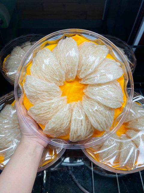 High Quality Natural Collagen swallow Bird's Nest Real Edible Round Bird Nest from Vietnam - Image 3