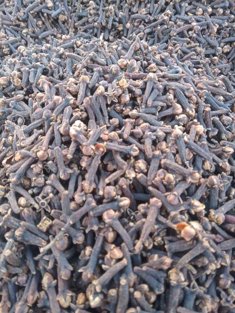 Spices Supplier Wholesales Natural Dried Whole Cloves in Good Price Dry Cloves for Food whatsap +255787979235/ 255762500052 - Image 5