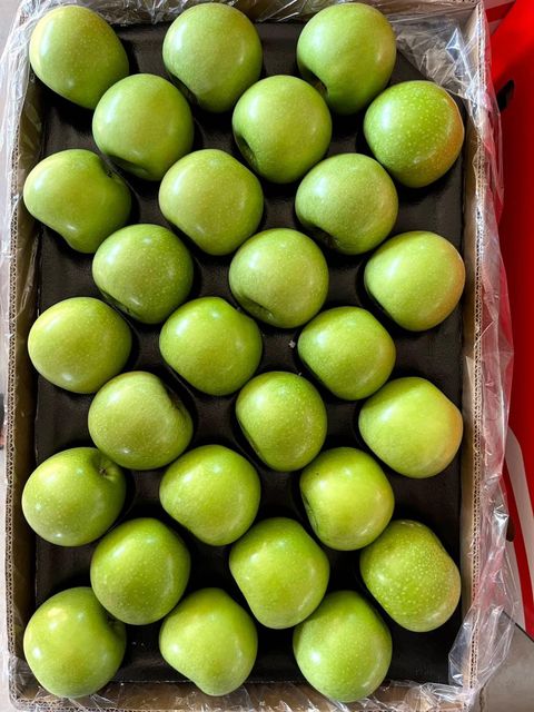 Premium South African Apples Organic Yes Origin South Africa Degree of Processing Fresh Variety Cripps Red, Flash Gala, Fuji, Gala, Golden Delicious, Granny Smith, Joya, Pink Lady, Red Delicious, Royal Gala, TopRed - Image 4