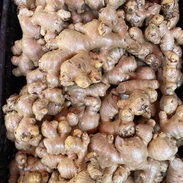 Fresh Ginger and air Dried Ginger New Crop Wholesale Exporters with Ginger Root Market Price Typical Hot Spicy Oil - Image 1